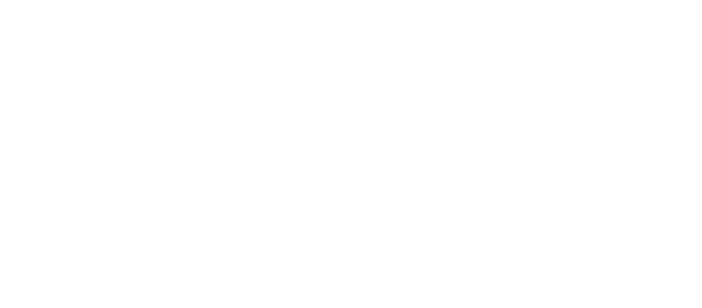 Buttaba II logo white